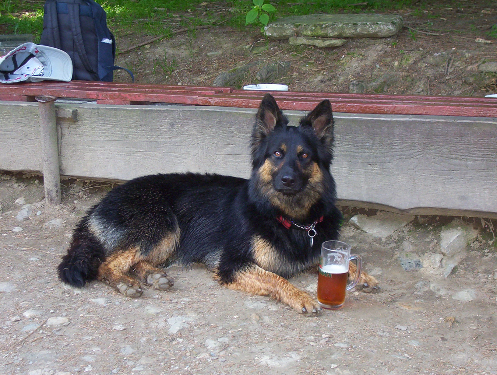 Sázavská stezka 005.jpg