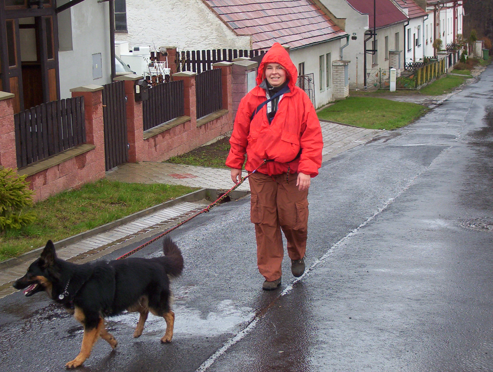 Dogtrekking - Krušné hory 004.jpg