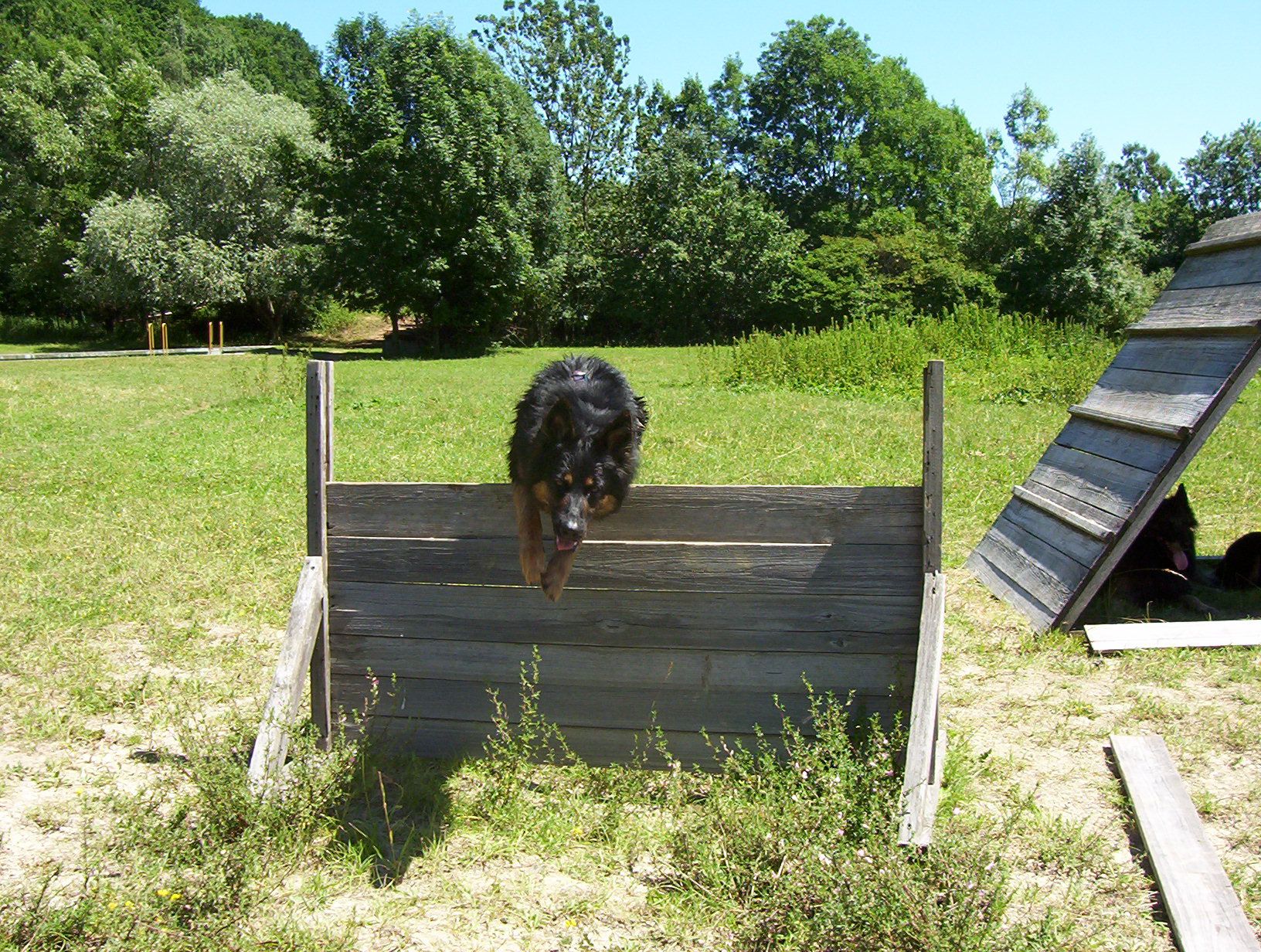 100_0709.jpg