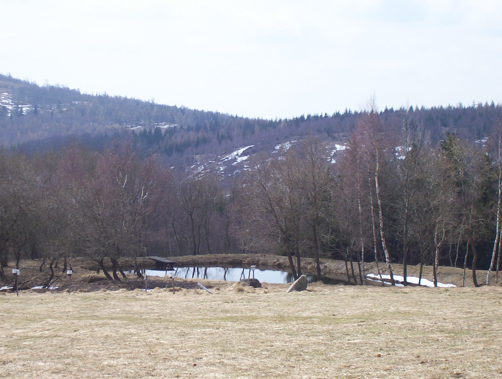 Dogtrekking - Krušné hory 027.jpg